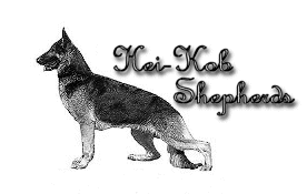 Hei-Kob Shepherds