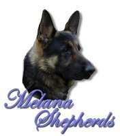 Melana Shepherds