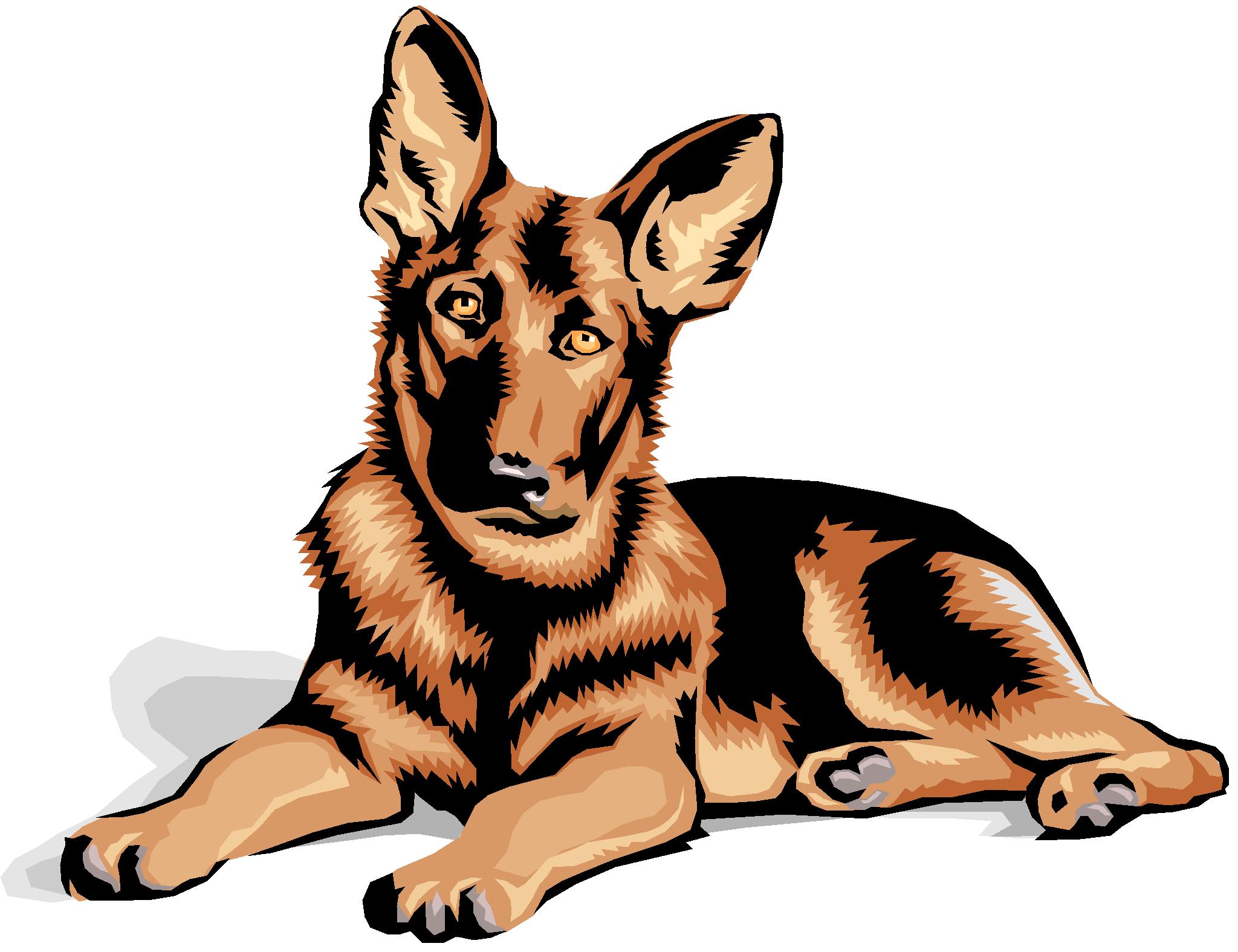 German Shepherds being trained to sit