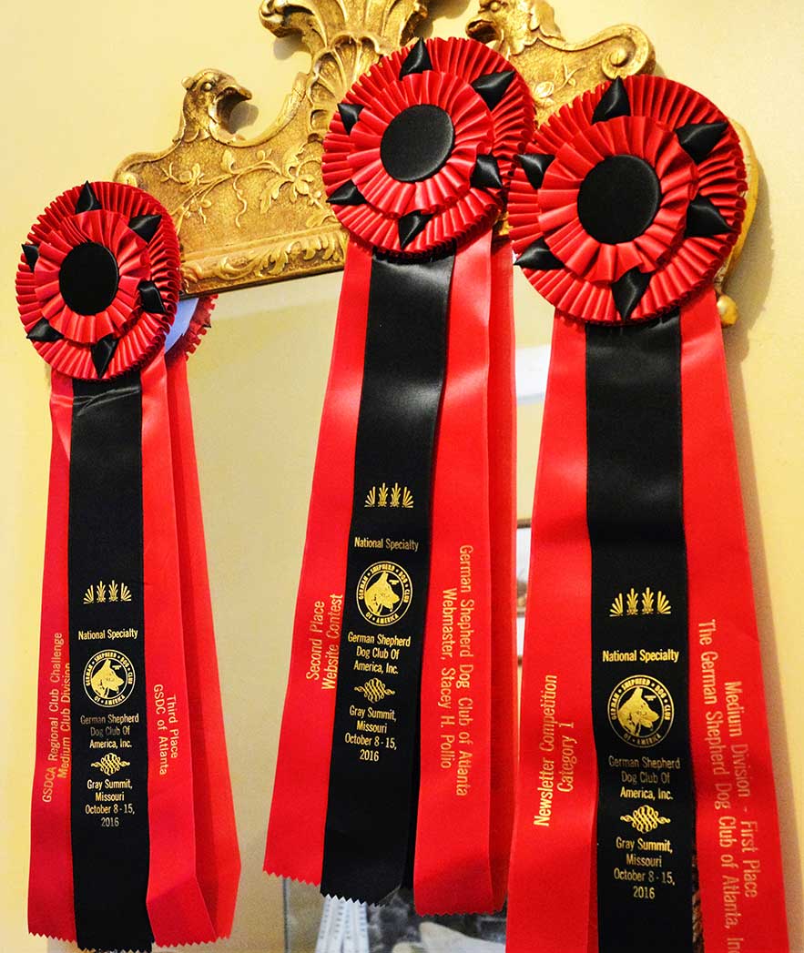The Guardian First Place Awards Ribbon