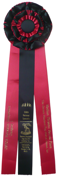 The Guardian 2nd place Awards Ribbon