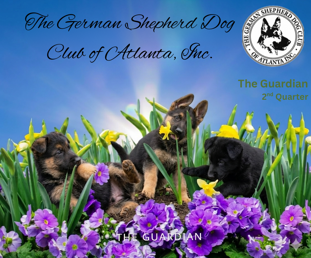 2nd QRT 2026 Newsletter